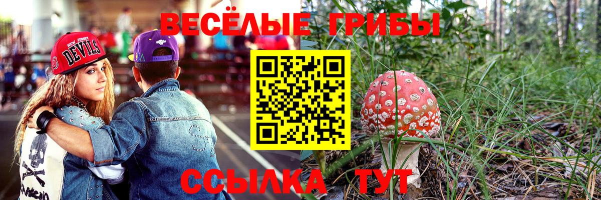 Галлюциногенные грибы Cubensis Медногорск