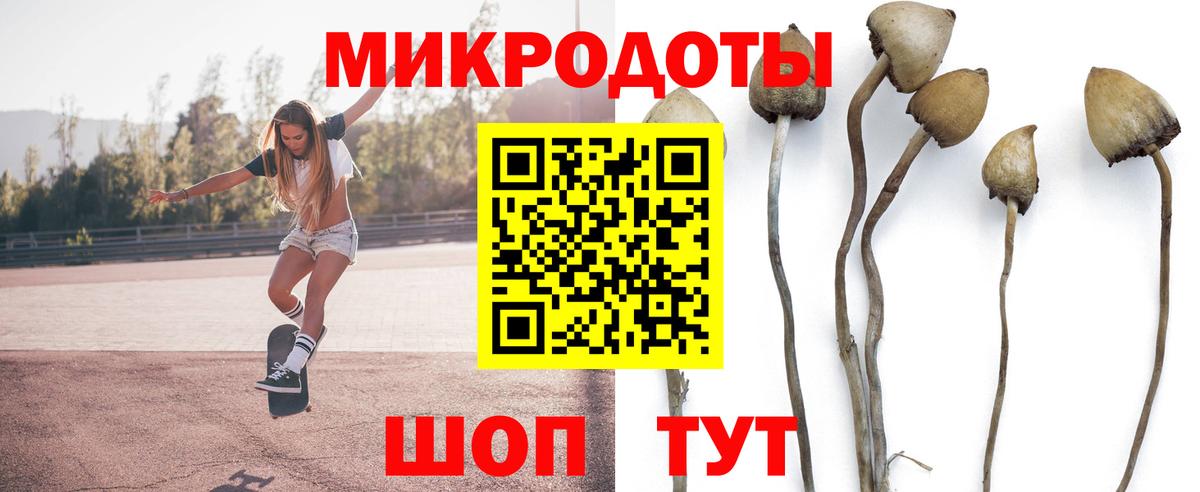 Галлюциногенные грибы GOLDEN TEACHER  Вход с VPN  Медногорск 