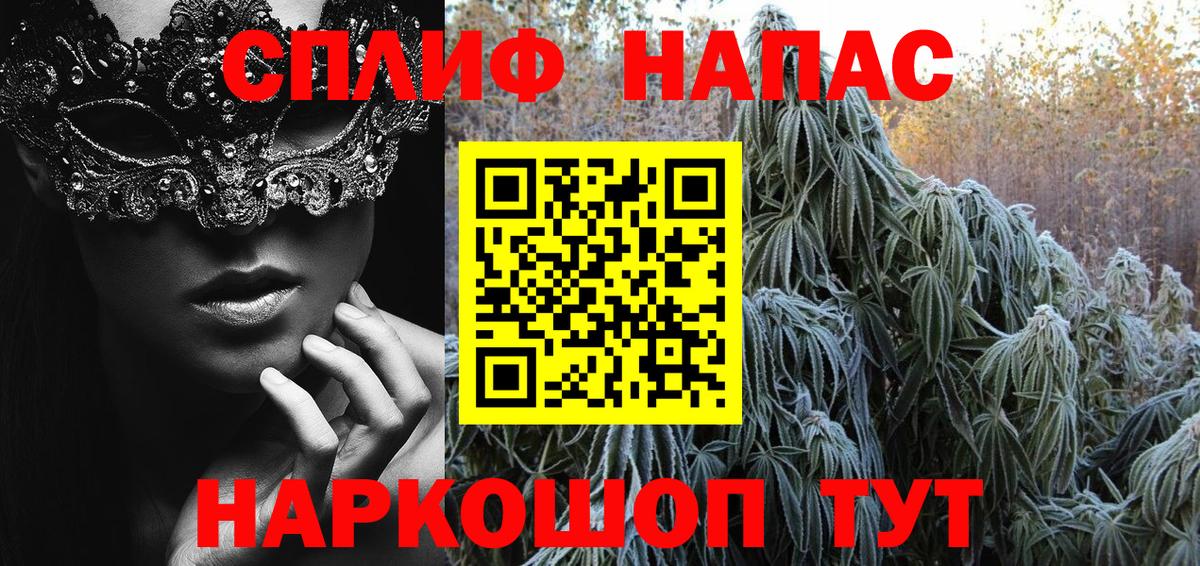 Шишки марихуана сатива  Вход с VPN  Шишки марихуана тримм  МАРИХУАНА Amnesia  Медногорск 